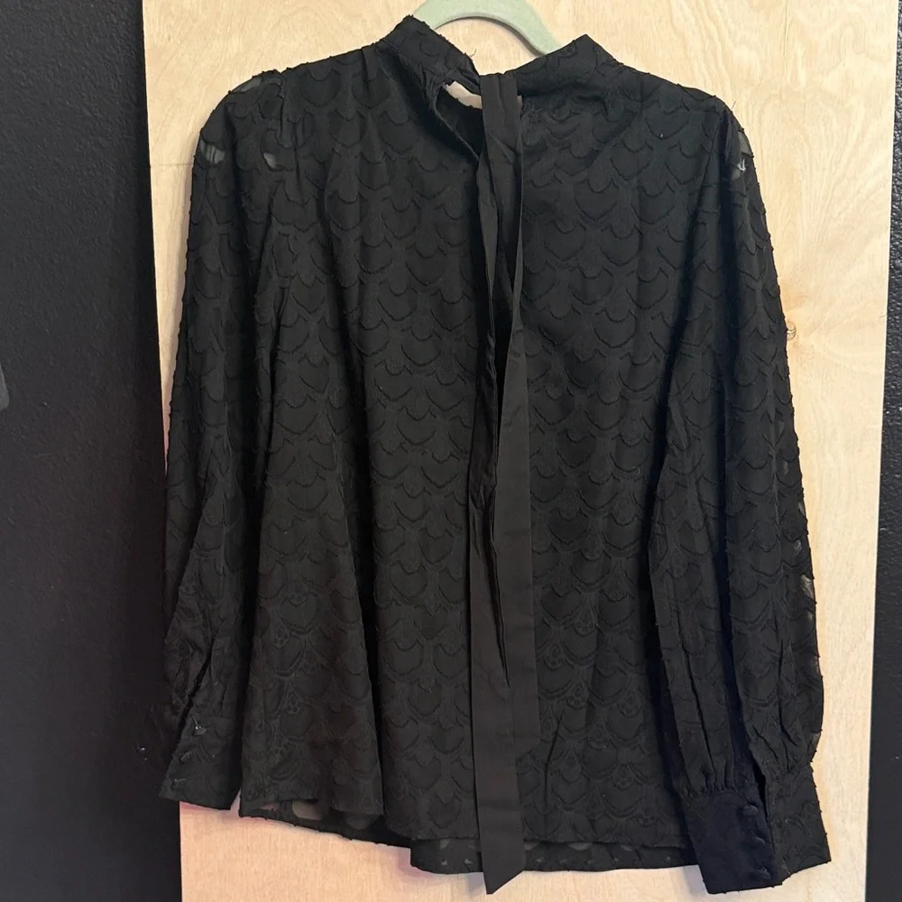 Elegant Black Lace Long-Sleeve Blouse - Picture 2 of 5